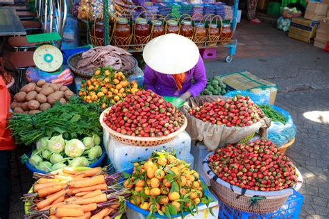 Nomad by Lê Quang Vinh: Un Voyage Visuel à Travers le Vietnam Rural