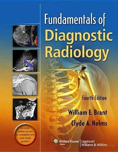 Understanding Ultrasound: A Visual Guide to Modern Diagnostic Imaging! Delving into the Intricate World of Sound Waves and Their Applications in Medicine!