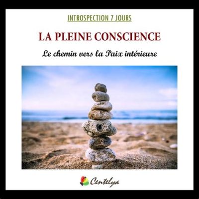  Stillness Is the Key : Un Voyage Introspectif Vers la Paix Intérieure